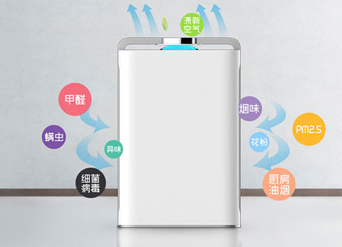 彩运网环保产品